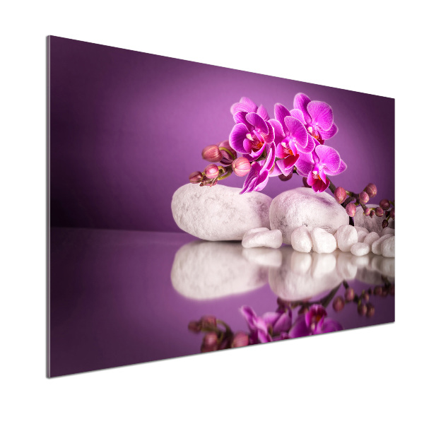 Panel do kuchyně Růžová orchidej