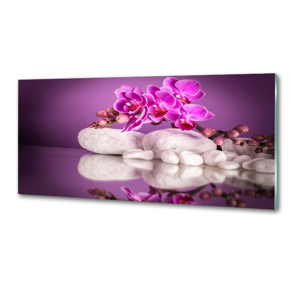 Panel do kuchyně Růžová orchidej