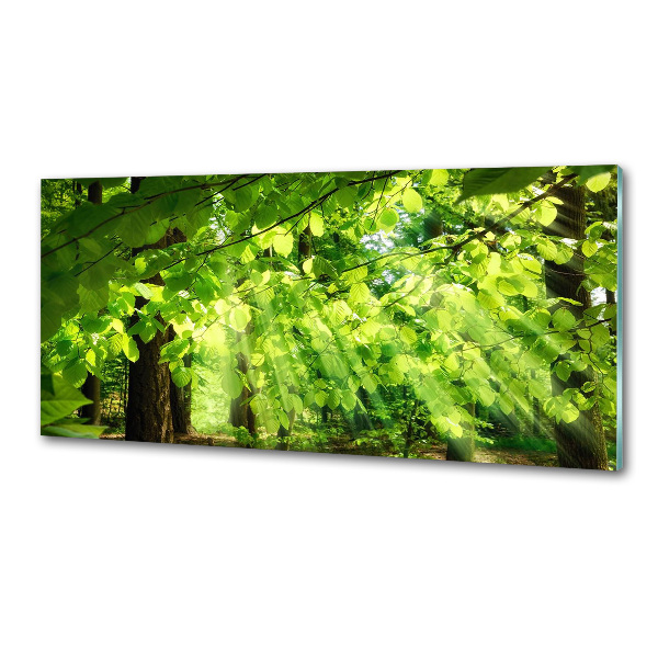 Dekorační panel sklo Listí buku