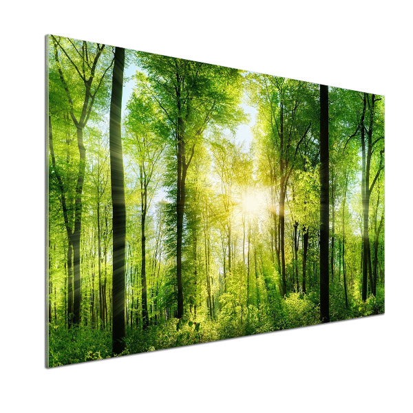Dekorační panel sklo Les slunce