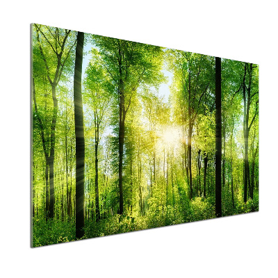 Dekorační panel sklo Les slunce
