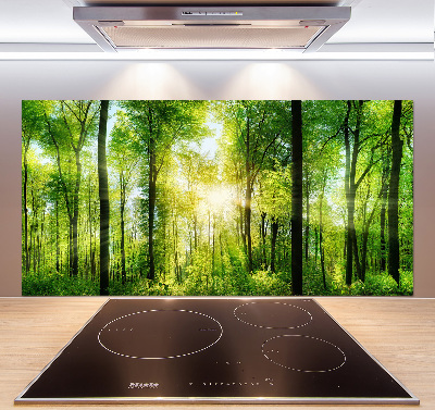 Dekorační panel sklo Les slunce