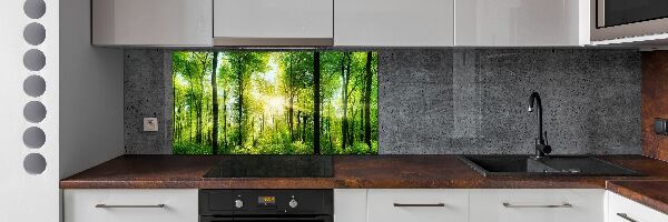 Dekorační panel sklo Les slunce