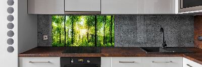 Dekorační panel sklo Les slunce