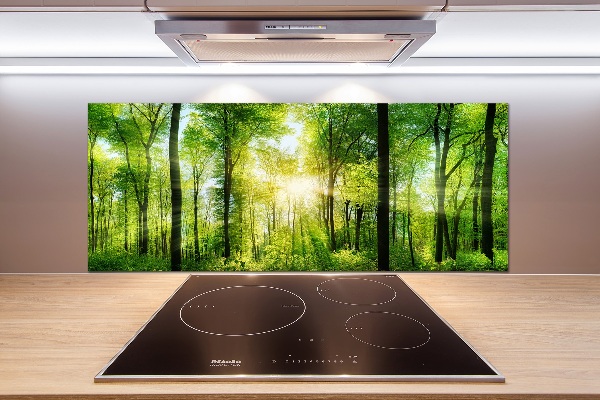 Dekorační panel sklo Les slunce