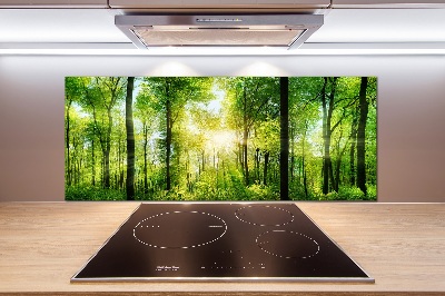 Dekorační panel sklo Les slunce