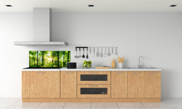 Dekorační panel sklo Les slunce