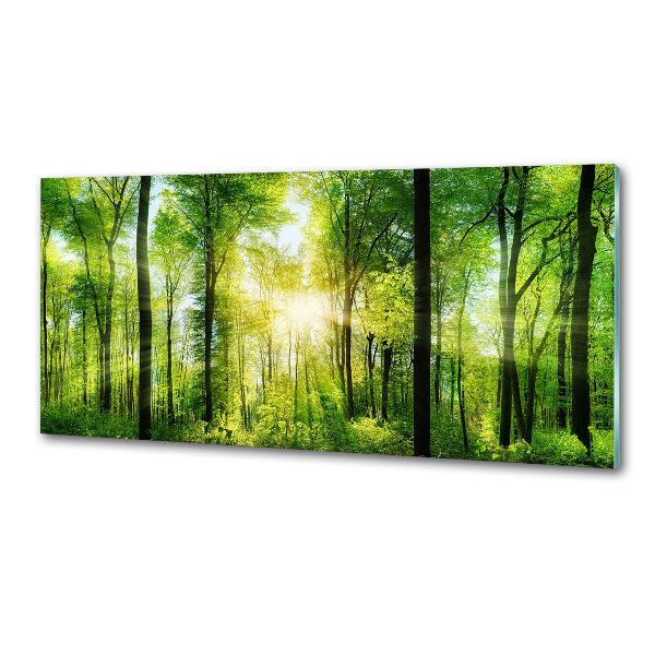Dekorační panel sklo Les slunce