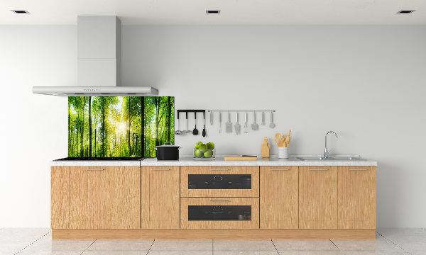 Dekorační panel sklo Les slunce