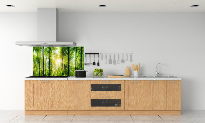 Dekorační panel sklo Les slunce