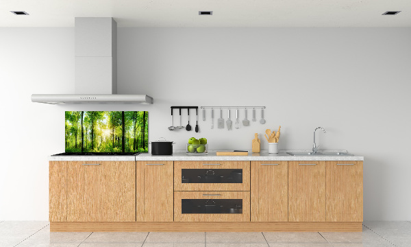 Dekorační panel sklo Les slunce