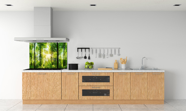 Dekorační panel sklo Les slunce