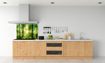 Dekorační panel sklo Les slunce