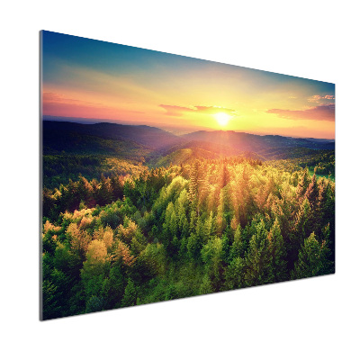 Panel do kuchyně Les západ slunce