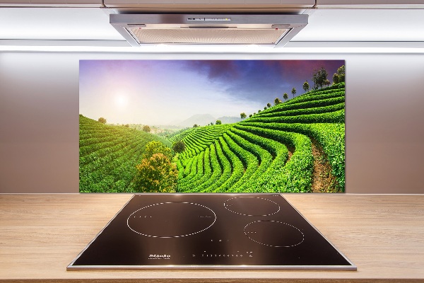 Panel do kuchyně Čajová plantáž