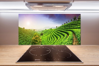 Panel do kuchyně Čajová plantáž