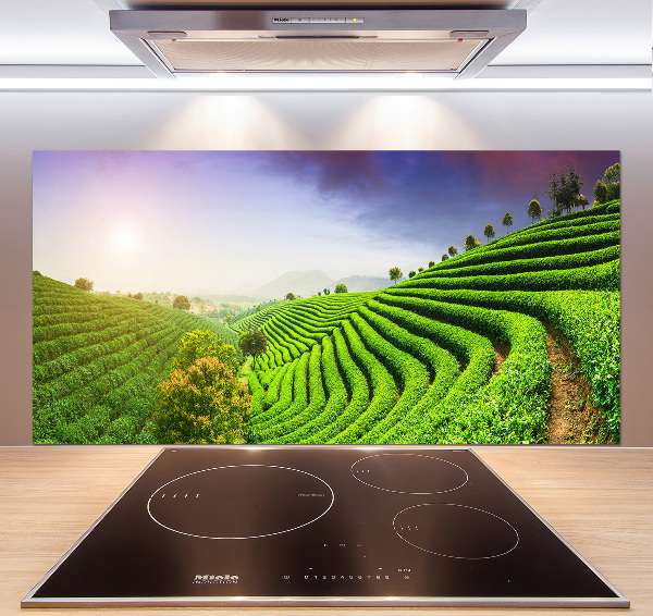 Panel do kuchyně Čajová plantáž