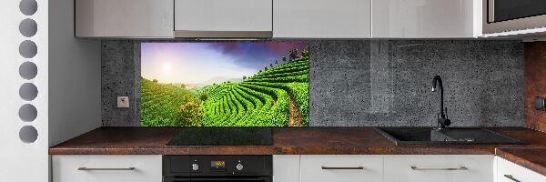 Panel do kuchyně Čajová plantáž