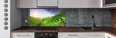 Panel do kuchyně Čajová plantáž