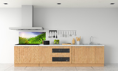 Panel do kuchyně Čajová plantáž