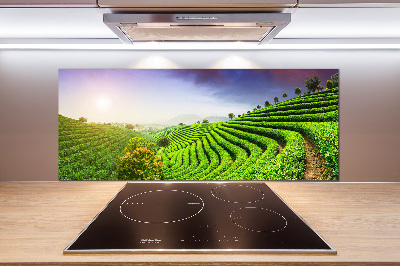 Panel do kuchyně Čajová plantáž