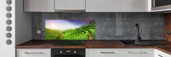 Panel do kuchyně Čajová plantáž