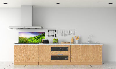 Panel do kuchyně Čajová plantáž