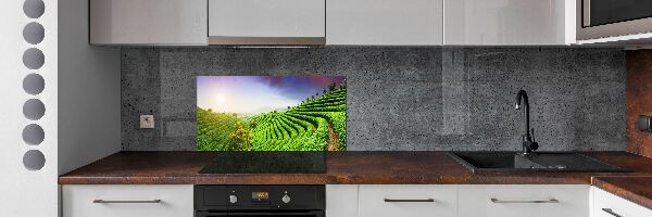 Panel do kuchyně Čajová plantáž