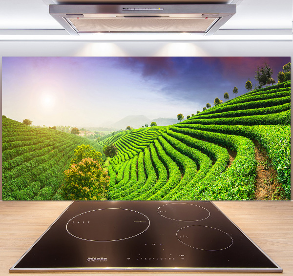 Panel do kuchyně Čajová plantáž