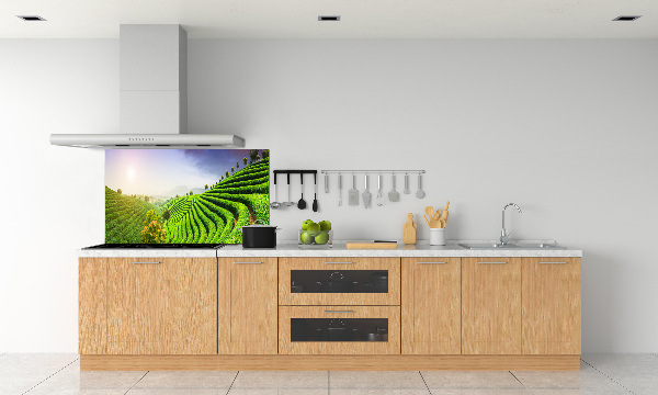 Panel do kuchyně Čajová plantáž