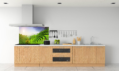 Panel do kuchyně Čajová plantáž