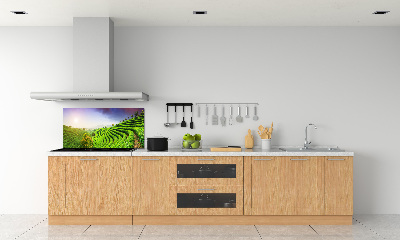 Panel do kuchyně Čajová plantáž