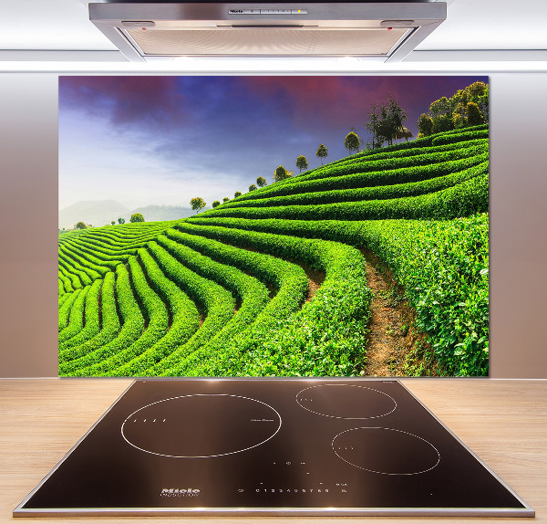 Panel do kuchyně Čajová plantáž