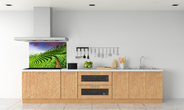 Panel do kuchyně Čajová plantáž