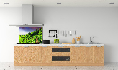 Panel do kuchyně Čajová plantáž