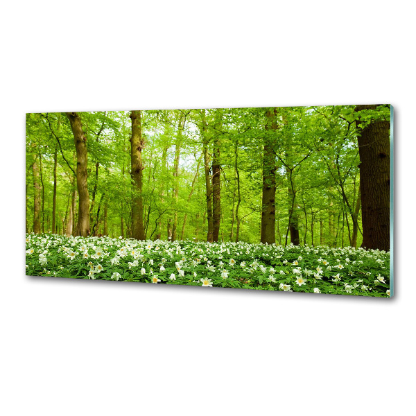 Panel do kuchyně Květiny v lese