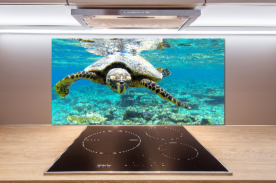 Dekorační panel sklo Mořská želva