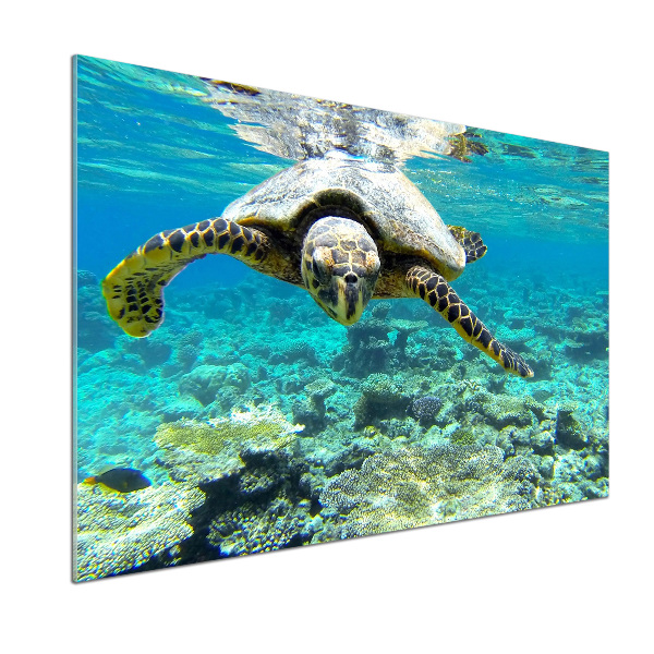 Dekorační panel sklo Mořská želva