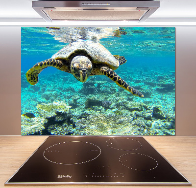 Dekorační panel sklo Mořská želva