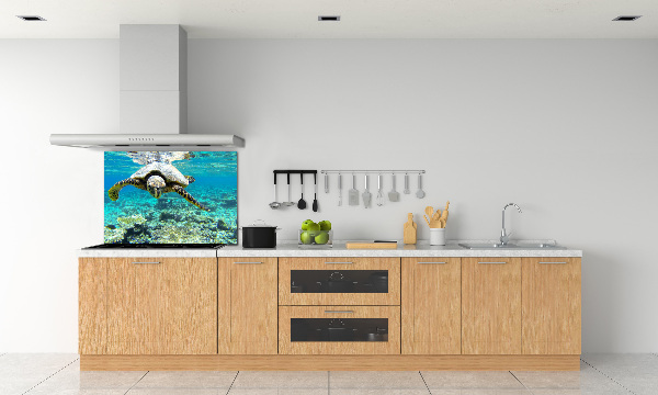 Dekorační panel sklo Mořská želva