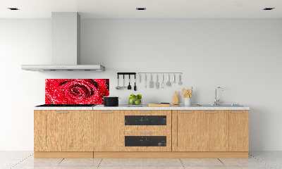 Panel lacobel Kapky vody na růži