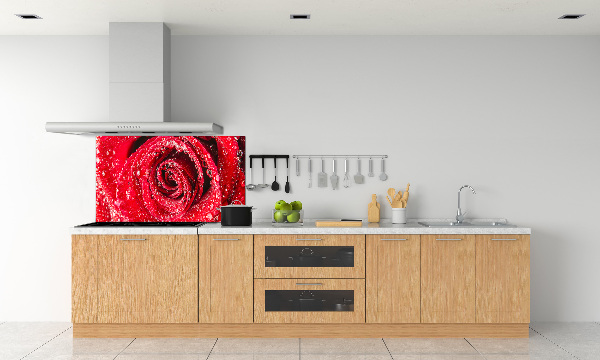 Panel lacobel Kapky vody na růži