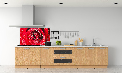 Panel lacobel Kapky vody na růži