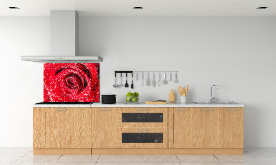 Panel lacobel Kapky vody na růži