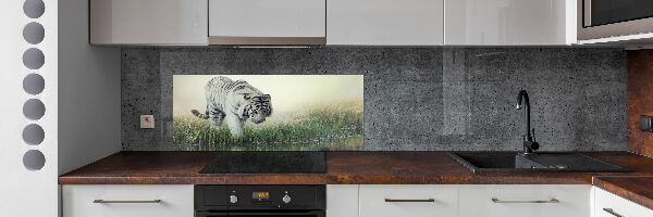 Dekorační panel sklo Bílý tygr