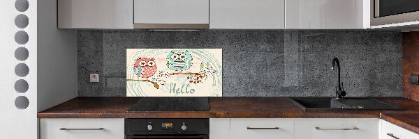Skleněný panel do kuchyně Sovy