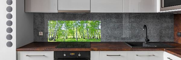 Skleněný panel do kuchyně Břízy