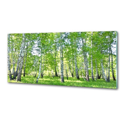 Skleněný panel do kuchyně Břízy