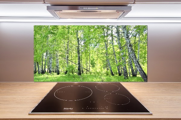 Dekorační panel sklo Břízový les