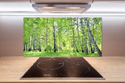 Dekorační panel sklo Břízový les